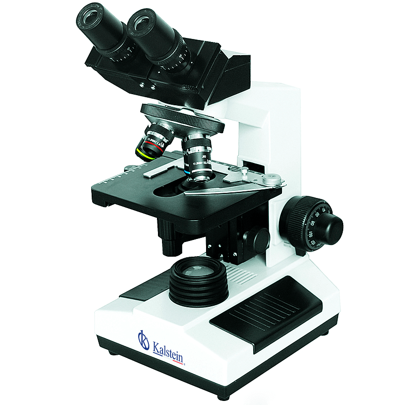 Microscope YR0242