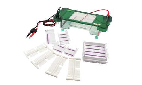 Horizontale Elektrophorese YR03417