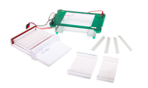 Horizontal Electrophoresis YR03420