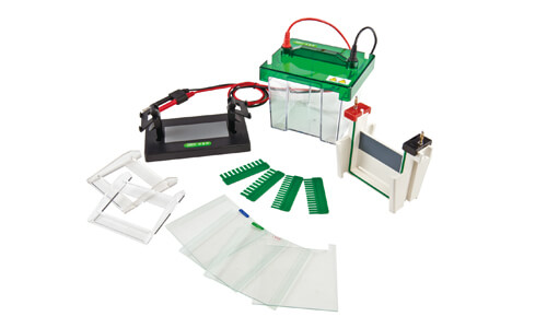 Vertikale Elektrophorese-Zelle YR03425