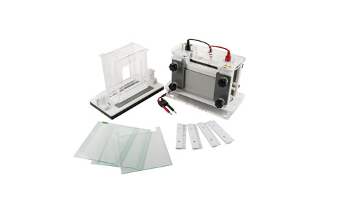 Mini-Elektrophorese YR401