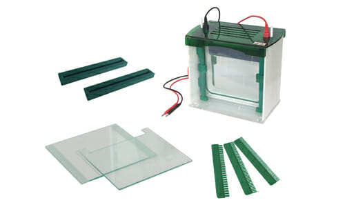 Advanced Technology in Electrophoresis: Precision and Speed in Genetic Analysis