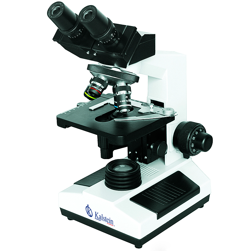 Use of Microscope for Tissue Analysis Caused by Hantavirus (SPHV)