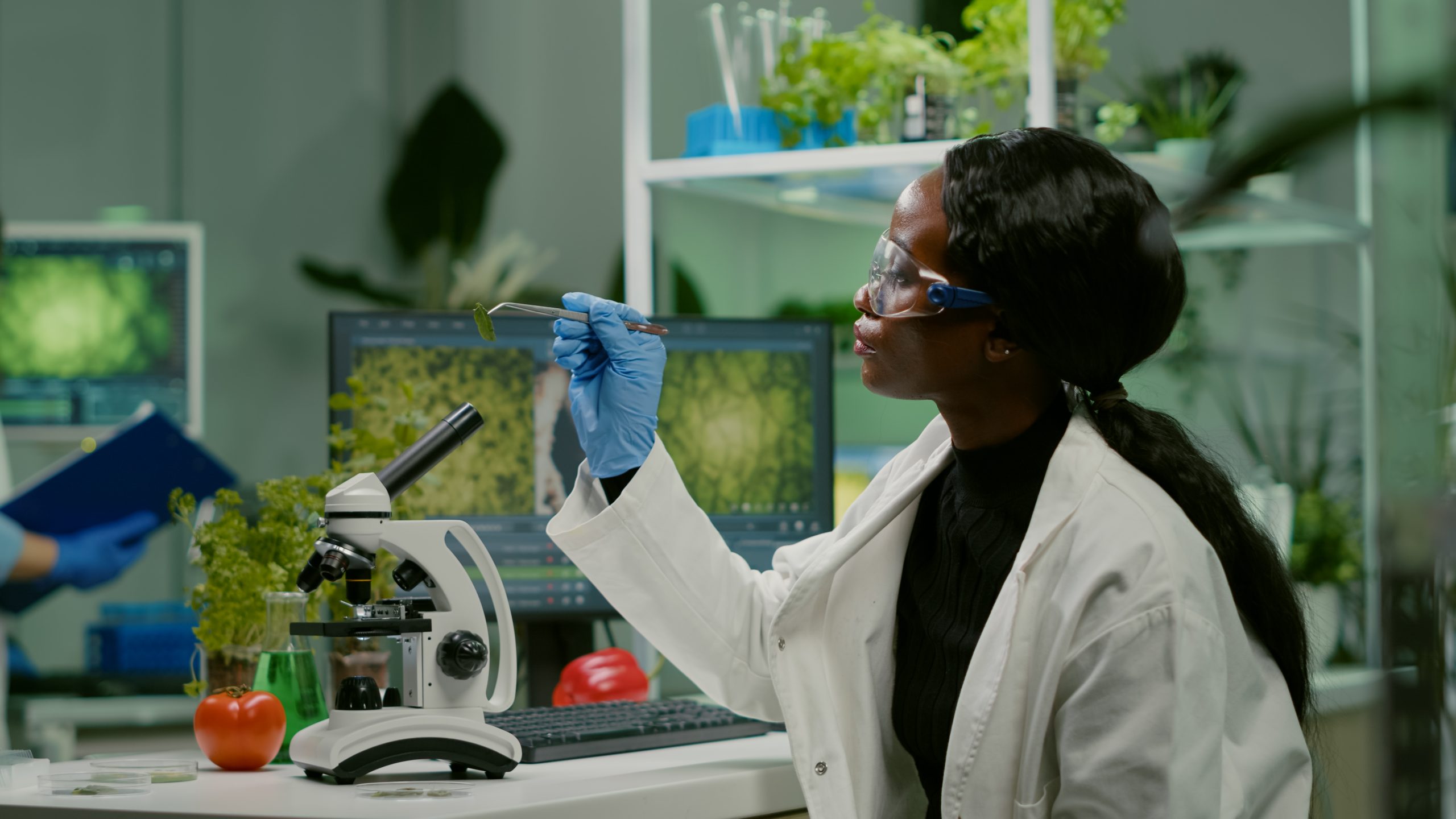 How are Muffles stored in the Laboratory?
