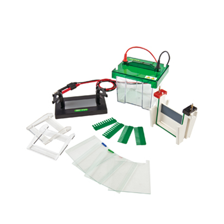 Electrophoresis for Precise Molecular Separation for Reliable Laboratory Results