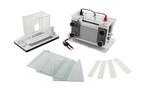 Essential Laboratory Electrophoresis Models for Precision Investigations