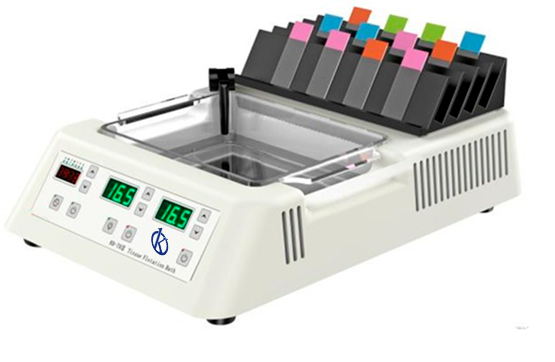A Reliable Partner: Health Professionals and Pathological Anatomy Equipment of Kalstein