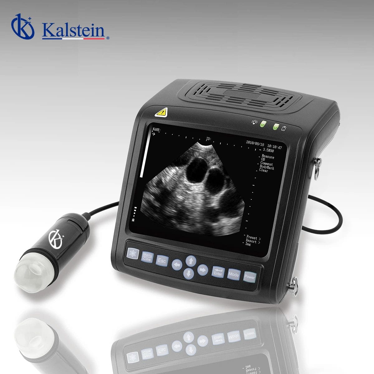 Revolutionizing Veterinary Care: Inside Look at Kalstein's Veterinary Ultrasound