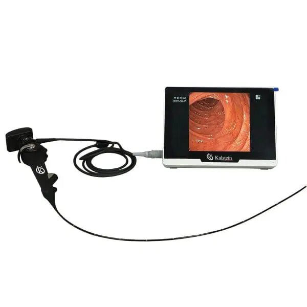 Advances and Benefits of the Veterinary Video Endoscope
