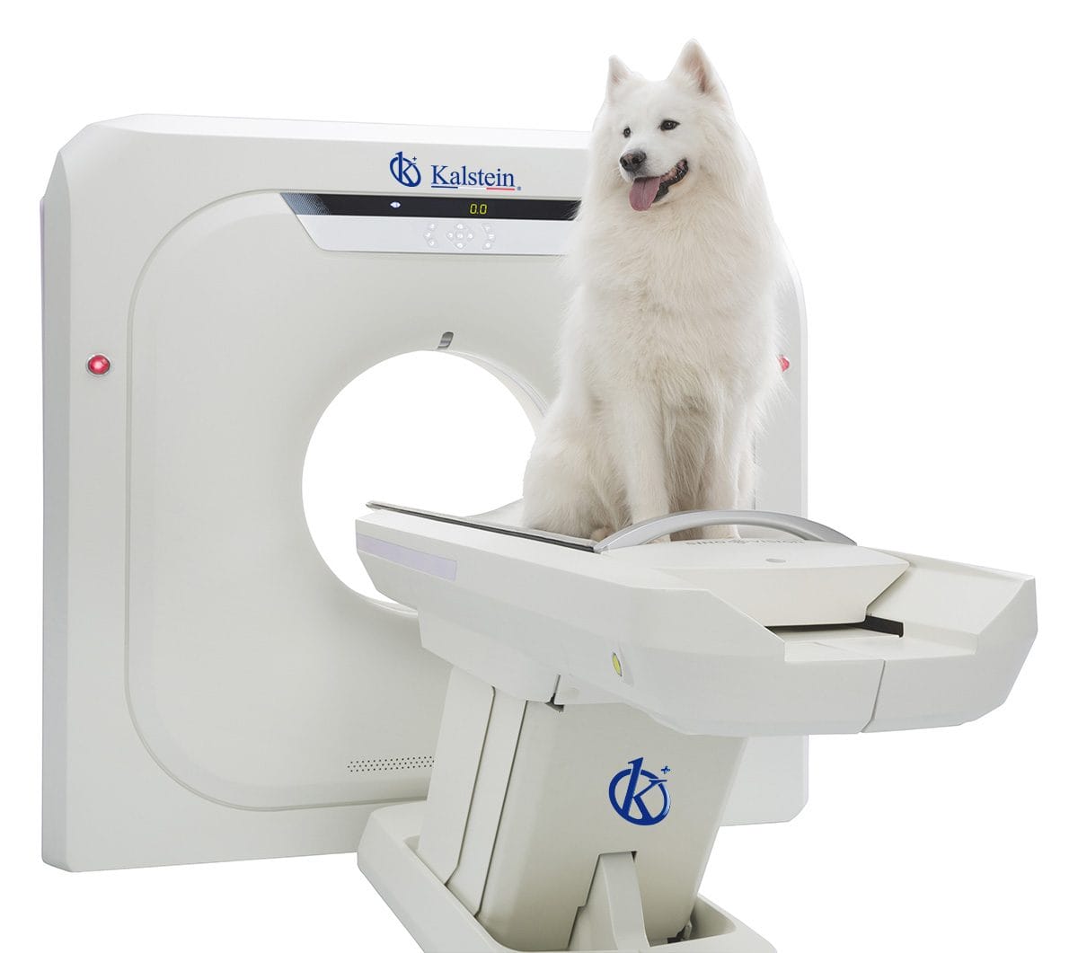 Veterinary CT Scanner: High-Resolution Imaging for Complex Evaluations