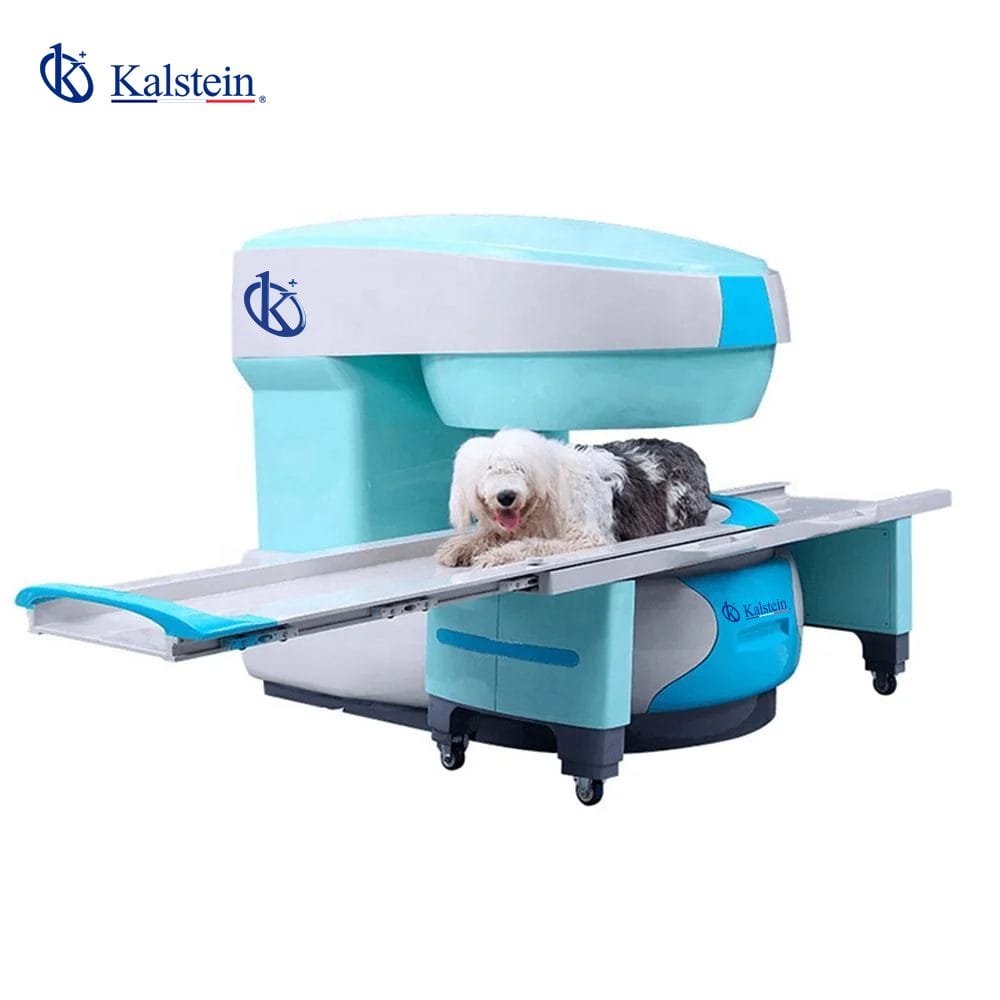 Cutting-Edge Solutions in Animal Diagnosis: A Review of Kalstein's Veterinary Imaging Equipment