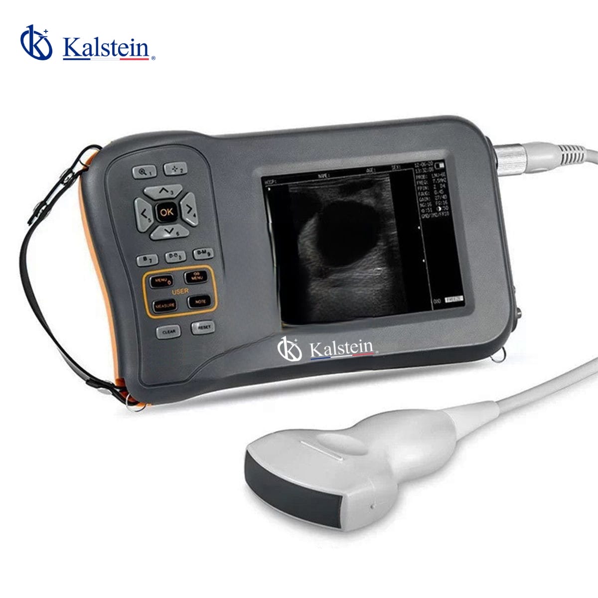4D Veterinary Ultrasound: Innovation in Animal Diagnostics