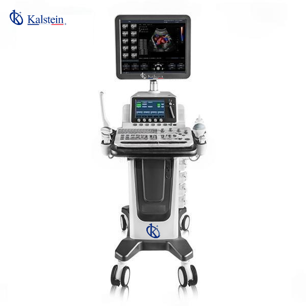 Unlocking the Power of Veterinary Ultrasound: A Comprehensive Guide to Kalstein's Innovative Solutions